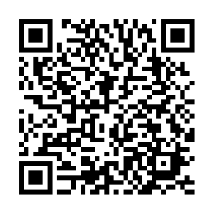 也幸好是基因改造后的身体才能承受如此大的重力压制二维码生成