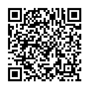 也应该知道二爷爷和爷爷这两个词儿之间的差异二维码生成