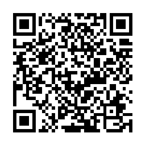 也往往第一次的学习修炼就将对法术的吸收理解定型了二维码生成