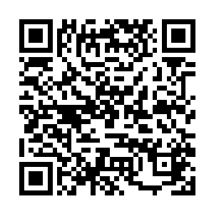 也很期待许紫烟准备了这么久还没有释放出来的法术二维码生成