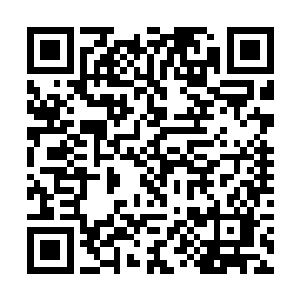 也得被正巧满腹愤懑无处发泄的世子殿下说打就打了二维码生成