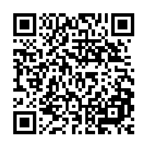 也想起自己曾经被这位王爷扛着一起去偷窥那些贵女打架的事情二维码生成