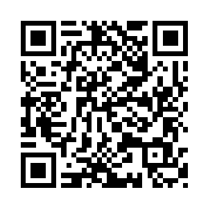 也把神识投入到了那两个正在打斗的男修身上二维码生成