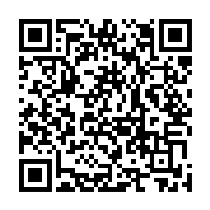 也担心过和雨果之间的友谊会消失――毕竟这里是好莱坞二维码生成