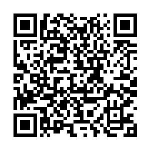 也无所谓参赛者知道不知道韩风和林辉轩的招数了二维码生成