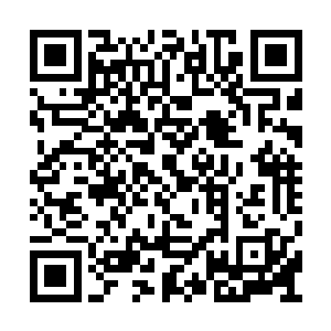 也是一副恨不得立即就让叶秋带他们过去的样子二维码生成