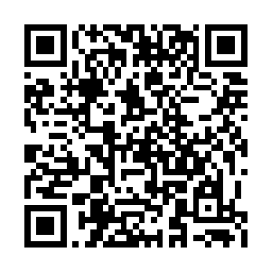 也是他准备用来组建自己的内阁成员的重要人物二维码生成