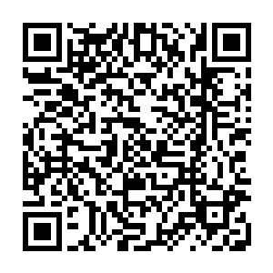 也是你把那上百亿的经济损失帐单让人送到仇家的――现在反而说别人欺负你二维码生成