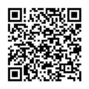 也是化为漫天的零碎火星如天女散花似得四散而去二维码生成