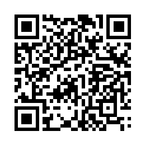 也是因为她原本对食物质量没有太多的要求二维码生成