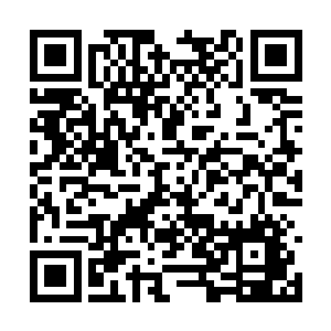 也是夏瑞泽和周其平在地心修士里有着极强的印象二维码生成