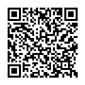 也是希望之城所有术士能够凑出来的最多数量了二维码生成