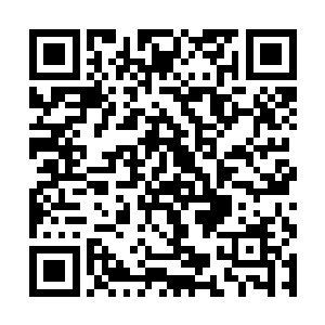 也是希望杨建军能利用他多年的经验给自己指点迷津二维码生成