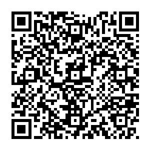 也是府中下人们脑袋里关于薛夫子的来历是这样的――轩辕无极在受封大唐城之后二维码生成