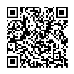 也是想让赵雅倩和韩旭两人和林枫好好的聊一聊二维码生成