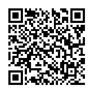 也是搀扶着自己的曾祖和曾祖母会他们的房间去了二维码生成