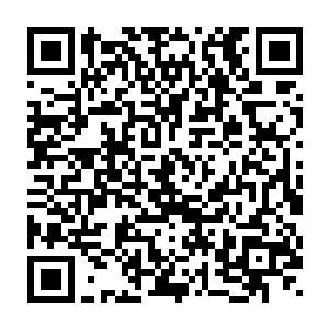 也是有着各国的领导人不断的朝着圣彼得大教堂之中发去安慰的电报二维码生成