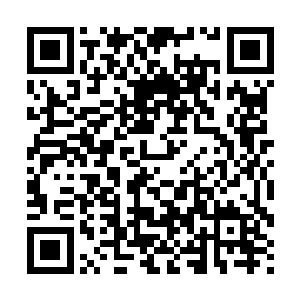 也是此时对面高端战力并不直接杀戮给了一种能平缓渡过错觉二维码生成