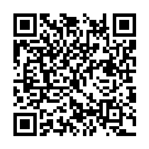 也是盘古宇宙甚至多元宇宙最强大的碳基智慧生命二维码生成