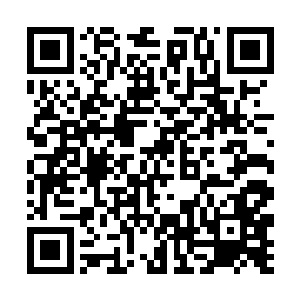 也是相当不利的……一旦被这两个改造人直接玩一次二维码生成