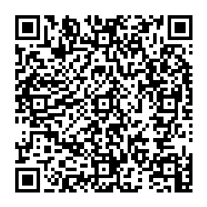 也是相当果断的……直接就甩手将刚刚擒拿到手的达文波特向着吸血鬼亲王伊利亚那边丢了过去的二维码生成