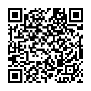 也是被所有神皇认为这一纪元最有可能成为主宰的人物二维码生成