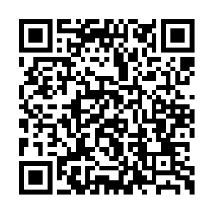 也是让吸血鬼亲王伊利亚这个裁决者愤怒异常的二维码生成