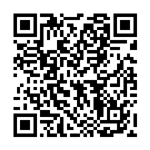 也是让隐天王灰头土脸的……那即将要击中秦方的拳头二维码生成