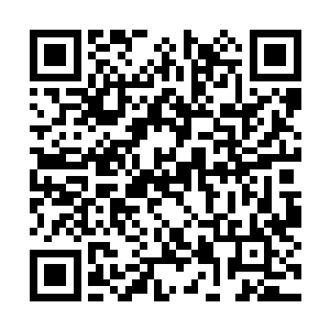 也是进一步确认她的未来是否能完全继承自身所学二维码生成