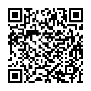 也有可能是我们大圣集团曾经处理过的过来寻仇二维码生成