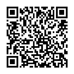 也有可能是需要这些资源去提升世界胎膜的某些能力二维码生成