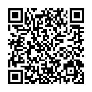也有无数的樱花瓣极像是粉色的轻纱在风中翩然起舞二维码生成