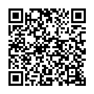 也有着看在上次他们爷叁进山回来上交了不少私房的份上二维码生成