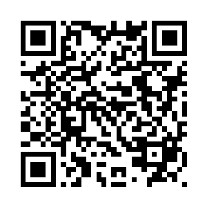 也根本不能消耗因果神树上的果实二维码生成