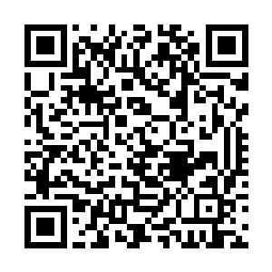 也正当陈诚等人将小龙打到只剩下最后一千来点血时二维码生成