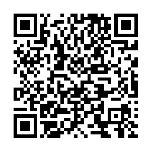 也正恰好需要具有空间神通威能的灵虫或灵兽的躯体作为母巢二维码生成