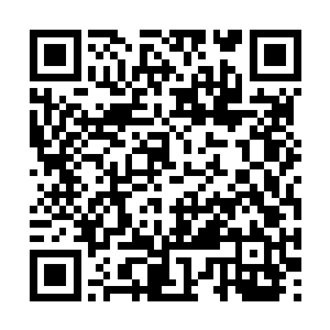 也正是如此才能够以不到太上境的实力和罗坷对抗二维码生成