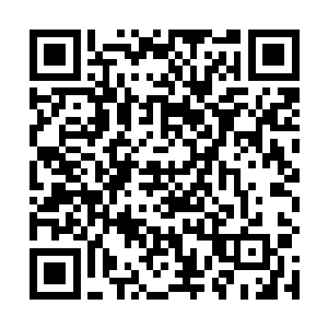 也沒有想到自己会成为燕京城很多年轻人心目中的偶像二维码生成