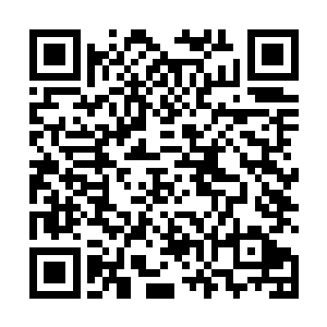 也没有一丝八万余年来不停地送给他们修炼资源的情谊二维码生成