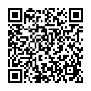 也没有什么大肆屠杀凡人的什么丧心病狂的恶迹二维码生成