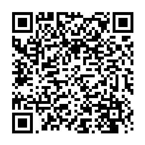 也没有什么太大意义的……先不说银脚小猫根本不会允许卡洛斯进入这里二维码生成