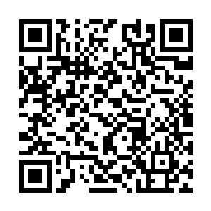 也没有少把一些他们看不顺眼的同学直接开除出去二维码生成