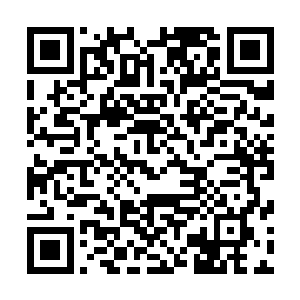 也没有想到在他们的身边其实就遍布这足以秒杀他们的阵法二维码生成