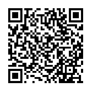 也没有想到她竟然把小时候的事情记的这么清楚二维码生成