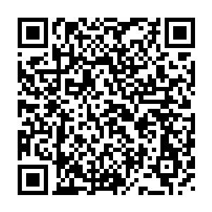 也没有留意到黄桷树的巨大阴影下面那影影绰绰围成圈的大团黑影二维码生成