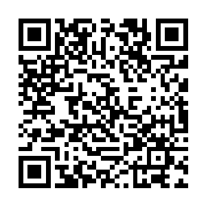 也没继续问张璐涵和她妹妹之间的关系为什么会这样二维码生成