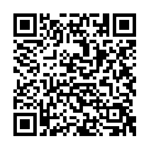 也猛烈上传每天保持万字左右以上两周的时间了二维码生成
