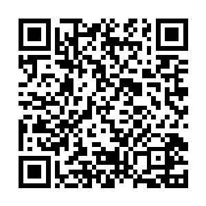 也看到了曾老板嘴角偷偷的又抹起了那丝阴冷的笑意二维码生成