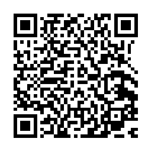 也知道作品列入教科书对于一个作家来说是多么大的荣誉与利益二维码生成