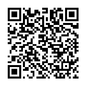 也知道田震这些年一直在寻找和追寻和那个秘密有关的事情二维码生成